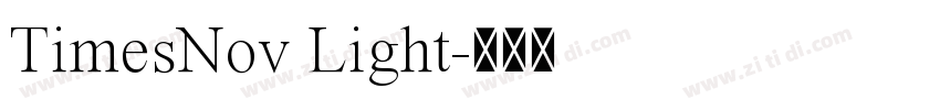 TimesNov Light字体转换